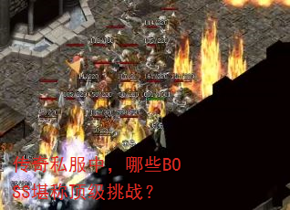 ˽УЩBOSSƶս