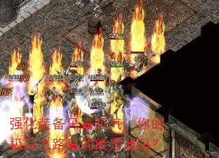 ǿװֻļƷ֮·ͨ