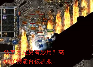 ջ֮ã߼ܷѱ