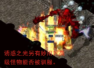 ջ֮ã߼ܷѱ