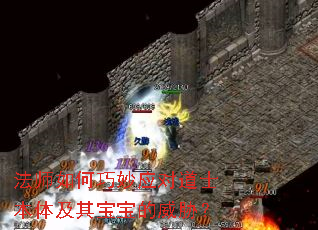 ʦӦԵʿ弰䱦в