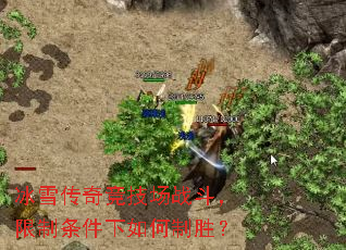 冰雪传奇竞技场战斗,限制条件下如何制胜? 冰雪传奇竞技场战斗,限制条件下如何制胜?