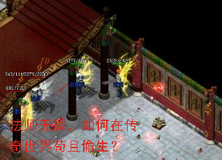 ʦ޶ܣڴ繶͵