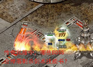 ˽УЩBOSSɱ飿