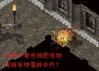 Щͼиʵ侮£