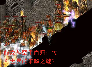 ֶ飺δ֮գ