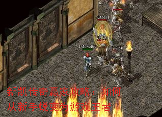 ¿ӮҹԣδɱΪϷ