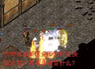 传奇私服新区金币怎样兑换成元宝?具体步骤是什么? 传奇私服新区金币怎样兑换成元宝?具体步骤是什么?