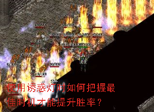 使用诱惑灯时如何把握最佳时机才能提升胜率? 使用诱惑灯时如何把握最佳时机才能提升胜率?