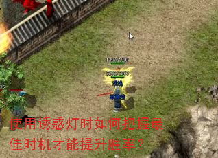 使用诱惑灯时如何把握最佳时机才能提升胜率? 使用诱惑灯时如何把握最佳时机才能提升胜率?