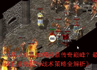 《两人组队如何问鼎传奇巅峰?最强职业搭配与战术策略全解析》 《两人组队如何问鼎传奇巅峰?最强职业搭配与战术策略全解析》
