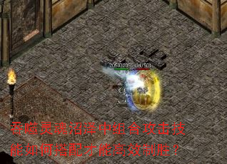 吞噬灵魂沼泽中组合攻击技能如何搭配才能高效制胜? 吞噬灵魂沼泽中组合攻击技能如何搭配才能高效制胜?
