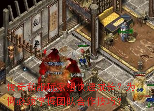 传奇私服玩家想快速成长?为何必须掌握团队合作技巧? 传奇私服玩家想快速成长?为何必须掌握团队合作技巧?