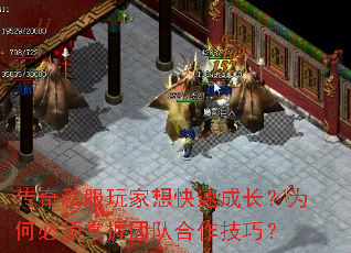 传奇私服玩家想快速成长?为何必须掌握团队合作技巧? 传奇私服玩家想快速成长?为何必须掌握团队合作技巧?