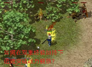 如何在双重经验加持下迅速突破战力瓶颈? 如何在双重经验加持下迅速突破战力瓶颈?