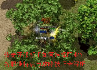 传奇开服新手如何选择职业?各职业特点与攻略技巧全解析 传奇开服新手如何选择职业?各职业特点与攻略技巧全解析