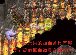 战斗中玩家常用的加血道具有哪些类型?高效回血道具选择攻略 战斗中玩家常用的加血道具有哪些类型?高效回血道具选择攻略