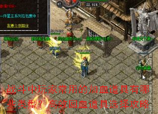战斗中玩家常用的加血道具有哪些类型?高效回血道具选择攻略 战斗中玩家常用的加血道具有哪些类型?高效回血道具选择攻略