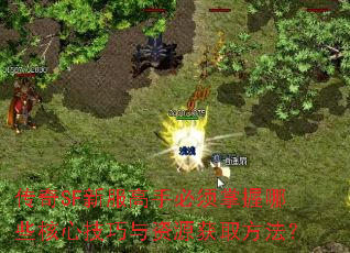 传奇SF新服高手必须掌握哪些核心技巧与资源获取方法? 传奇SF新服高手必须掌握哪些核心技巧与资源获取方法?