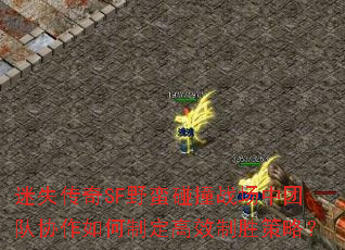 迷失传奇SF野蛮碰撞战场中团队协作如何制定高效制胜策略? 迷失传奇SF野蛮碰撞战场中团队协作如何制定高效制胜策略?