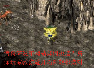 传奇SF发布网站如何挑选?资深玩家教你避开陷阱轻松选对 传奇SF发布网站如何挑选?资深玩家教你避开陷阱轻松选对