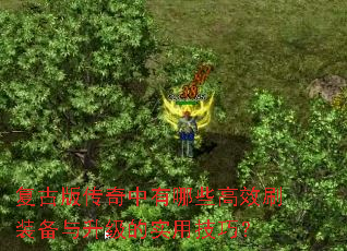 复古版传奇中有哪些高效刷装备与升级的实用技巧? 复古版传奇中有哪些高效刷装备与升级的实用技巧?