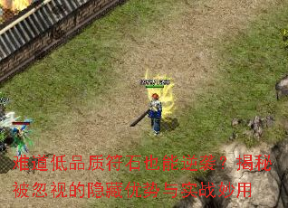 难道低品质符石也能逆袭?揭秘被忽视的隐藏优势与实战妙用 难道低品质符石也能逆袭?揭秘被忽视的隐藏优势与实战妙用