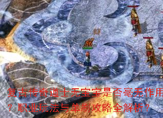 复古传奇道士无宝宝是否毫无作用?职业玩法与单刷攻略全解析? 复古传奇道士无宝宝是否毫无作用?职业玩法与单刷攻略全解析?