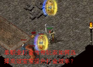 单职业打金传奇玩家如何选择高效宝宝提升打金效率? 单职业打金传奇玩家如何选择高效宝宝提升打金效率?