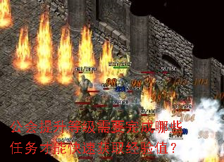公会提升等级需要完成哪些任务才能快速获取经验值? 公会提升等级需要完成哪些任务才能快速获取经验值?