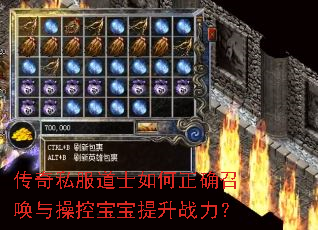 传奇私服道士如何正确召唤与操控宝宝提升战力? 传奇私服道士如何正确召唤与操控宝宝提升战力?