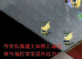 传奇私服道士如何正确召唤与操控宝宝提升战力? 传奇私服道士如何正确召唤与操控宝宝提升战力?