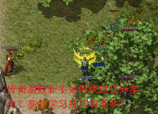 传奇游戏新手如何快速提升实力?高效学习技巧有哪些? 传奇游戏新手如何快速提升实力?高效学习技巧有哪些?