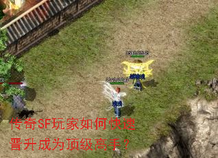 传奇SF玩家如何快速晋升成为顶级高手? 传奇SF玩家如何快速晋升成为顶级高手?