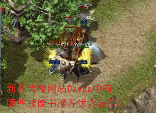 新开传奇网站Dayga中有哪些技能书推荐优先获取? 新开传奇网站Dayga中有哪些技能书推荐优先获取?