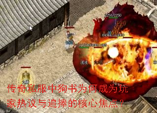 传奇私服中狗书为何成为玩家热议与追捧的核心焦点? 传奇私服中狗书为何成为玩家热议与追捧的核心焦点?