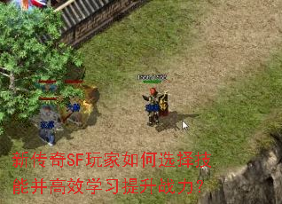 新传奇SF玩家如何选择技能并高效学习提升战力? 新传奇SF玩家如何选择技能并高效学习提升战力?