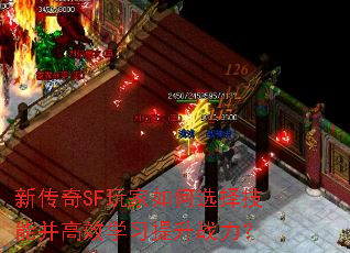 新传奇SF玩家如何选择技能并高效学习提升战力? 新传奇SF玩家如何选择技能并高效学习提升战力?