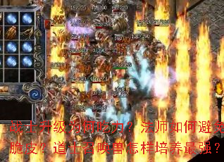 战士升级为何吃力?法师如何避免脆皮?道士召唤兽怎样培养最强? 战士升级为何吃力?法师如何避免脆皮?道士召唤兽怎样培养最强?