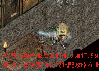 传奇私服开服后各职业专属特戒如何选?最强职业特戒搭配攻略在此 传奇私服开服后各职业专属特戒如何选?最强职业特戒搭配攻略在此