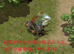 如何在传奇私服中申请加入五级行会需要满足哪些条件? 如何在传奇私服中申请加入五级行会需要满足哪些条件?