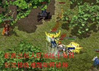 新西兰私人区域战士每日剑法修炼难题如何破解 新西兰私人区域战士每日剑法修炼难题如何破解