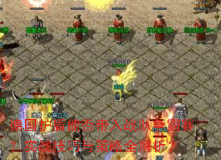 德国护盾能否带入战队争霸赛?实战<a href=
