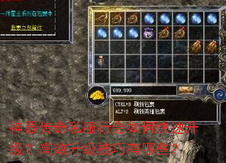 神器传奇私服行会如何快速升级?高效升级技巧有哪些? 神器传奇私服行会如何快速升级?高效升级技巧有哪些?