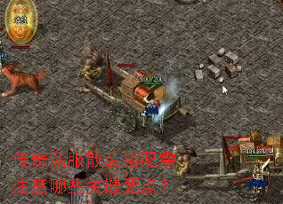 传奇私服散装搭配需注意哪些关键要点? 传奇私服散装搭配需注意哪些关键要点?
