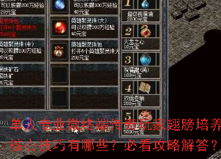 单人专业微终端传奇玩家翅膀培养核心<a href=