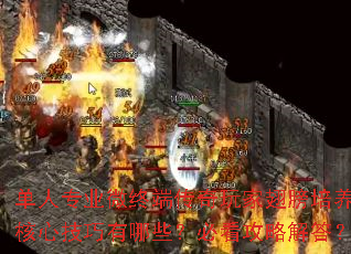 单人专业微终端传奇玩家翅膀培养核心技巧有哪些?必看攻略解答? 单人专业微终端传奇玩家翅膀培养核心技巧有哪些?必看攻略解答?