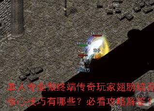 单人专业微终端传奇玩家翅膀培养核心技巧有哪些?必看攻略解答? 单人专业微终端传奇玩家翅膀培养核心技巧有哪些?必看攻略解答?