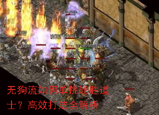 无狗流如何单挑战胜道士?高效打法全解析 无狗流如何单挑战胜道士?高效打法全解析