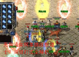 无狗流如何单挑战胜道士?高效打法全解析 无狗流如何单挑战胜道士?高效打法全解析
